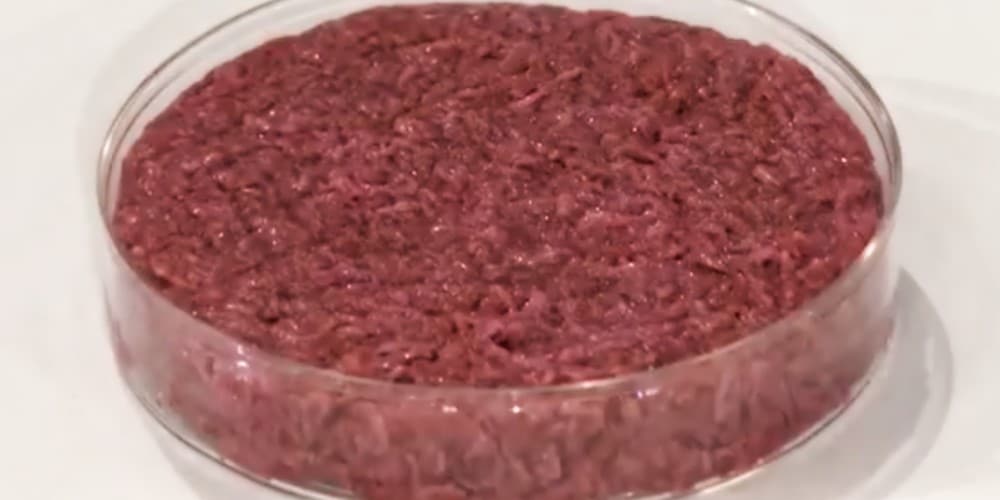 What They Don’t Want You to Know About Lab-Grown Meat